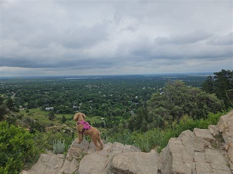 Melissa Lynne Thornton