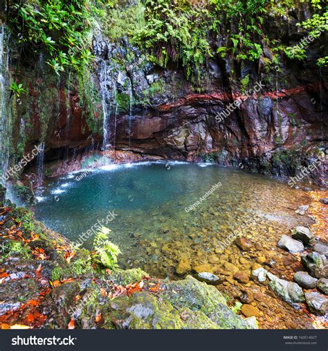 3,774 Madeira Waterfalls Images, Stock Photos & Vectors | Shutterstock