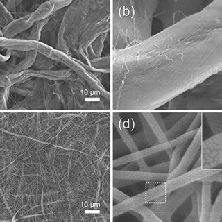 Low And High Magnification SEM Images Of A B Comm CCFs And C D