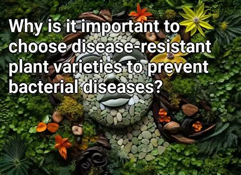 Why Is It Important To Choose Disease Resistant Plant Varieties To Prevent Bacterial Diseases