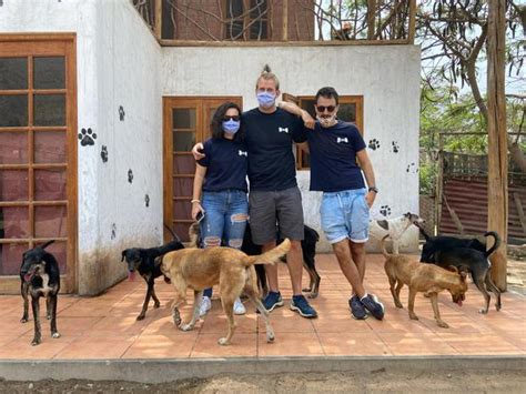 Wuf Conoce A La Ong Peruana Que Trabaja Por Los Perros Sin Hogar Desde