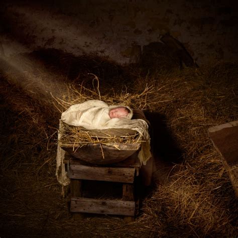 Jesus Manger Animals At Lori Masters Blog