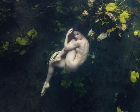 Underwater Lily Pads By Logan Hughes Nudes Underwaterbabes Nude Pics Org