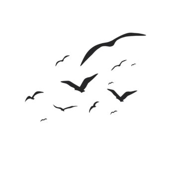 Black Birds Flying Silhouette Transparent Background, Black Flying Bird ...