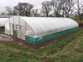 30ft Wide Commercial Polytunnels Premier Polytunnels