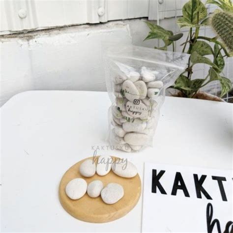 Jual Batu Hias Putih 400 Gr Batu Koral Tanaman Batuan Koral Putih