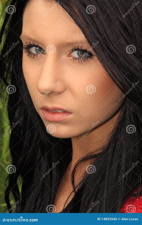 Beautiful Dark Haired Woman Stock Photo Image Of Brunette Female 14825546