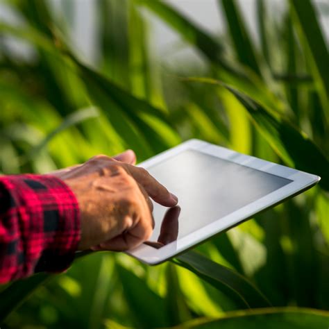 Tend Ncias Em Tecnologia Para O Agroneg Cio Em Janu Rio Pe As