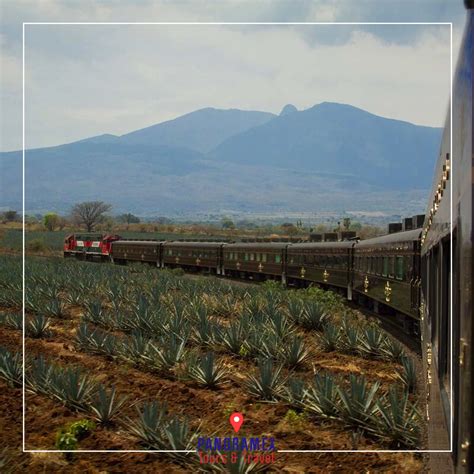 Tequila Jalisco Turismo 2