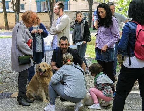 Cani Per Ciechi Open Day Ecco Come Adottare Un Cucciolo Foto Video