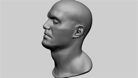 ArtStation - Base Male Head C | Resources