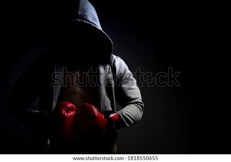 1,877 Boxer Hood Images, Stock Photos & Vectors | Shutterstock