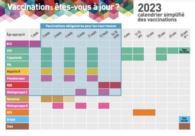 Recommandations Aux Voyageurs La Vaccination Au Cours De La Vie