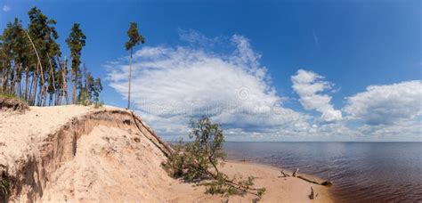 Steep Sandy Reservoir Shore With High Pines Against Sky Stock Image