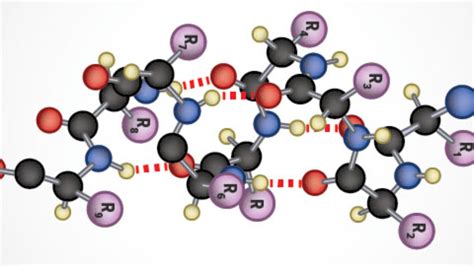 Structure Of Proteins