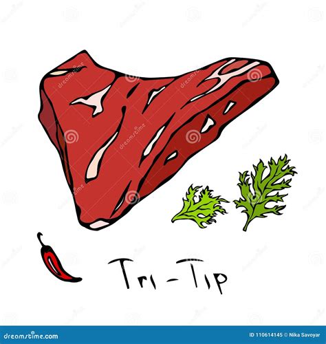Most Popular Steak Tri-Tip. Beef Cut. Meat Guide for Butcher Shop or