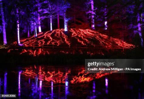 53 Faskally Wood Stock Photos High Res Pictures And Images Getty Images