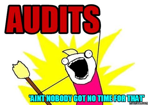 Audits Aint Nobody Got No Time For That