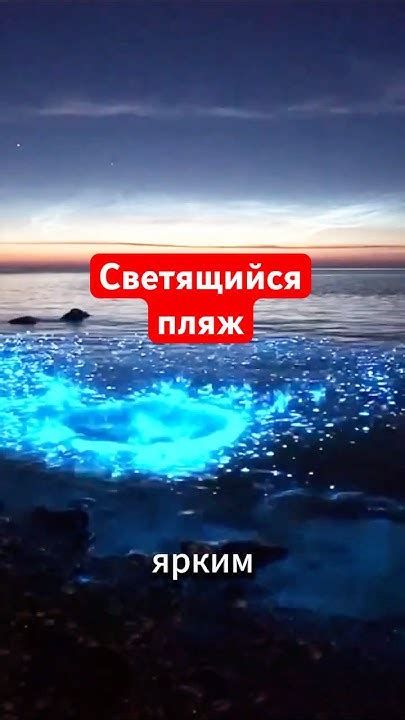 🏝💡🤩 Светящийся пляж существует! - YouTube