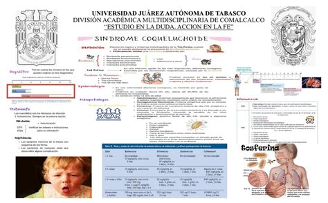 Tos Ferina Anayeli Del Carmen Gonzalez Montejo Udocz