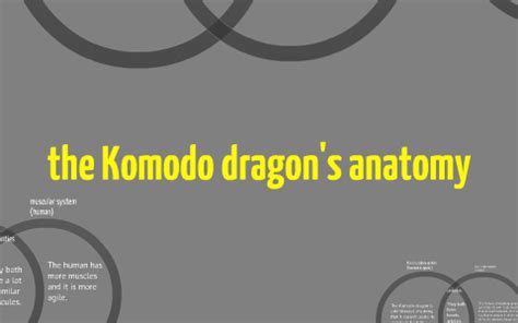 komodo dragon anatomy by Marshall Hudson on Prezi