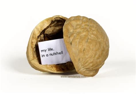 napi angol angol kifejezesek peldamondatokkal   nutshell