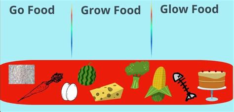 Types of food | Growing food, Food to go, Food protection