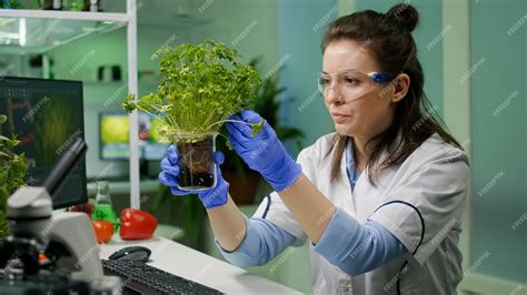 Free Photo Botanist Researcher Woman Examining Green Sapling