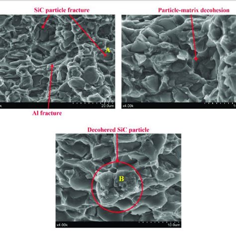 Sem Secondary Electron Micrographs Of Fracture Surface Of Specimens