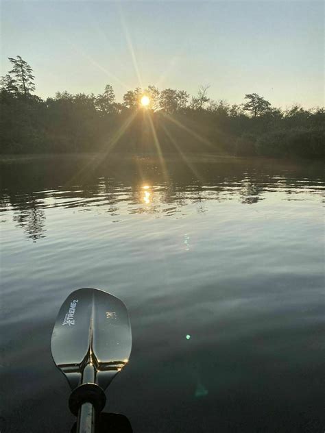 Forge Pond - Metedeconk River Kayak Trail - New Jersey | AllTrails