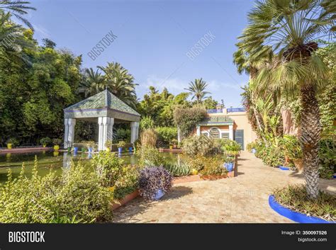 Beautiful Majorelle Image & Photo (Free Trial) | Bigstock