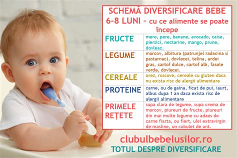 Bebelu Ul Al Ptat I Diversificarea C Nd I Cu Ce S Ncepi La Ce S