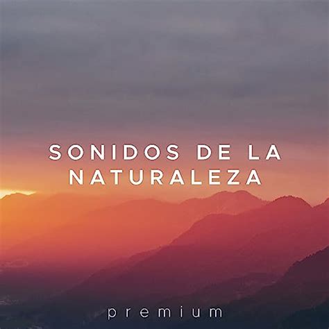 Amazon Sonidos De La Naturaleza Premium Musica Relajante Para Tu