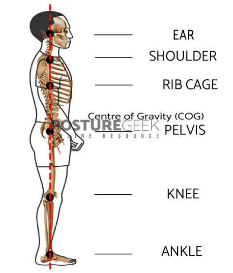 HOW TO ASSESS YOUR POSTURE - SIDE VIEW