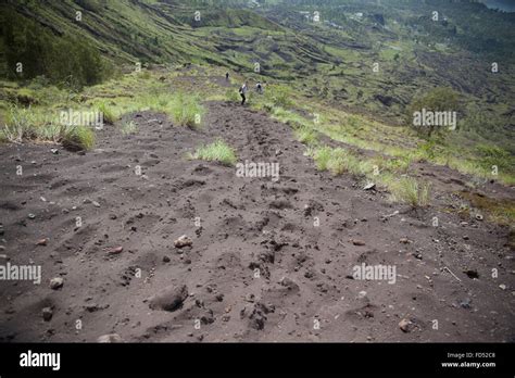 grass  mud terrain  res stock photography  images alamy