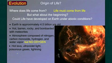 Evolution Part 5 Origin Of Life Youtube