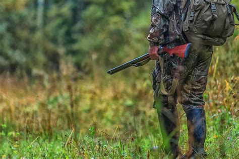 Top 10 Tips and Tricks for Your Next Successful Hunting Trip • The