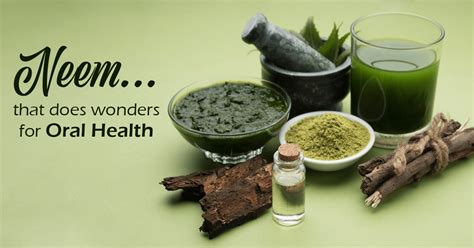 The Ayurveda Experience Blog