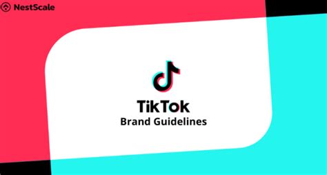 Tiktok Brand Guidelines For Maximizing Your Business Success