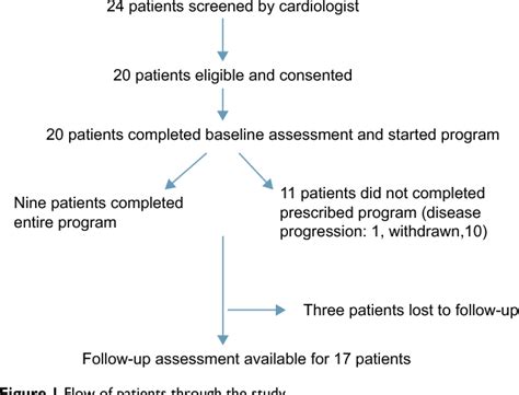 Figure From Cancer Management And Research Dovepress Feasibility Of