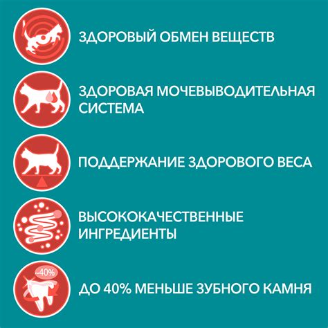 Влажный корм Purina ONE® | Purina ONE