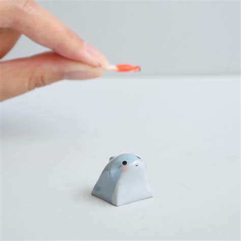 Shark – okeydokey studio