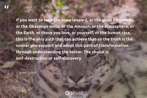 Leopard Quotes And Leopard Sayings To Inspire Their Protection