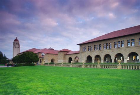 50+ Flower Garden In Stanford University Stock Photos, Pictures