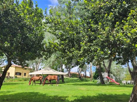 L'isola delle donne added a new photo. - L'isola delle donne