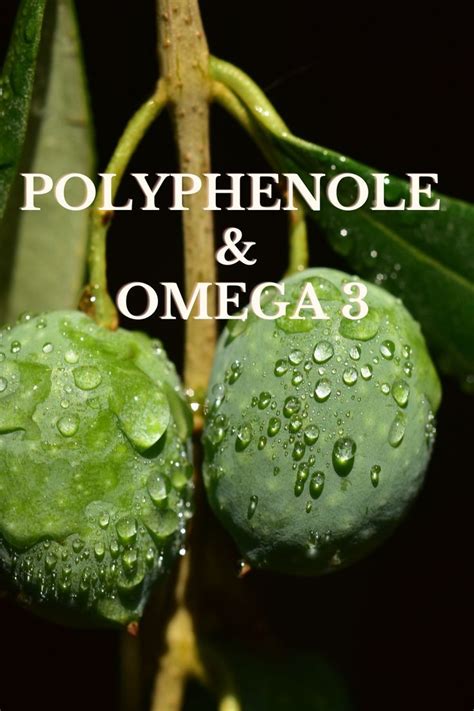 Polyphenole Und Omega 3