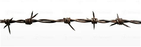 A Barbed Wire Isolated On White Background 26781126 Stock Photo At Vecteezy