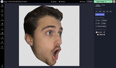 how to make emotes for twitch 8