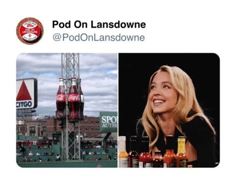 Funniest Sydney Sweeney Hot Ones Tweet Memes Making The Rounds Right Now