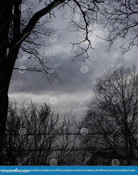 Autumn Sky Naked Stock Photo Image Of Branches Winter